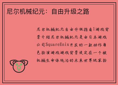 尼尔机械纪元：自由升级之路